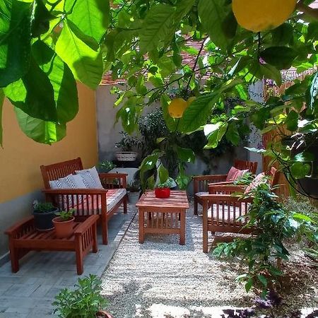 Green House 아볼라 외부 사진