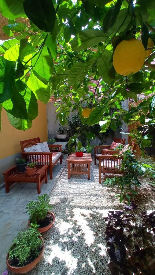 Green House 아볼라 외부 사진